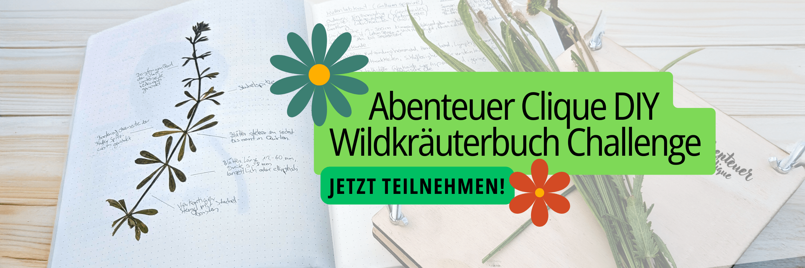 Abenteuer Clique DIY Wildkräuterbuch Challenge